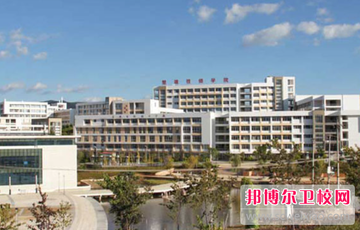 云南2023年有哪些护理宝威（中国）一站式服务平台最好就业