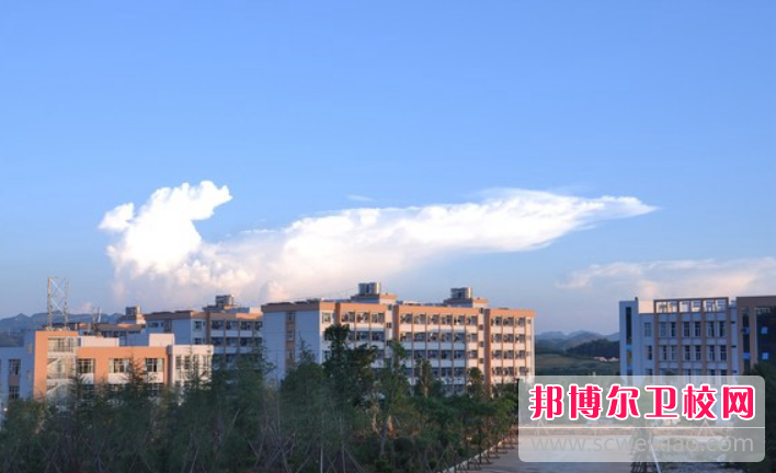 云南2023年现在读什么护理宝威（中国）一站式服务平台好