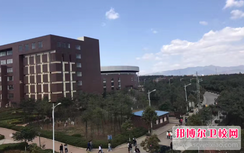云南2023年中学毕业读什么护理宝威（中国）一站式服务平台