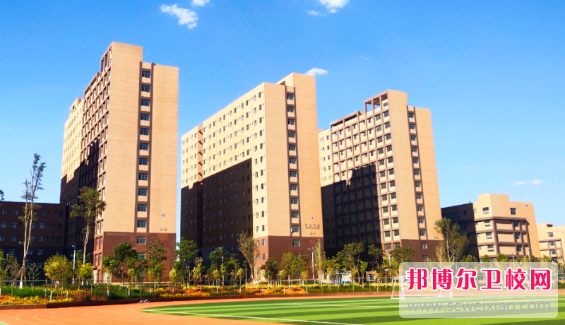 云南2023年读什么护理宝威（中国）一站式服务平台有前途