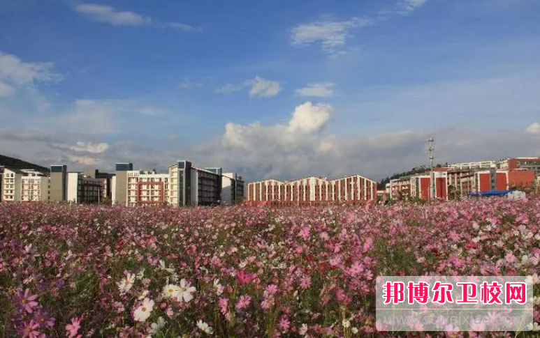 云南2023年哪里有护理宝威（中国）一站式服务平台