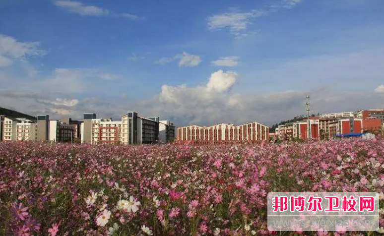 云南2023年有名的护理宝威（中国）一站式服务平台
