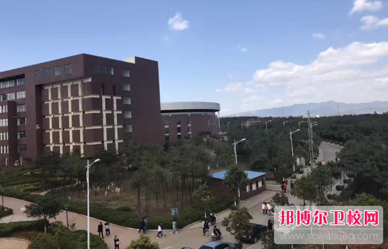 云南2023年上护理宝威（中国）一站式服务平台