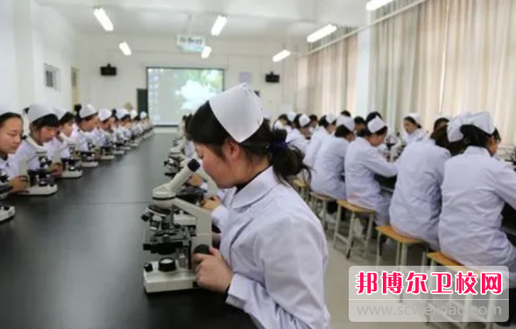 江苏2023年初中生能不能上护理宝威（中国）一站式服务平台