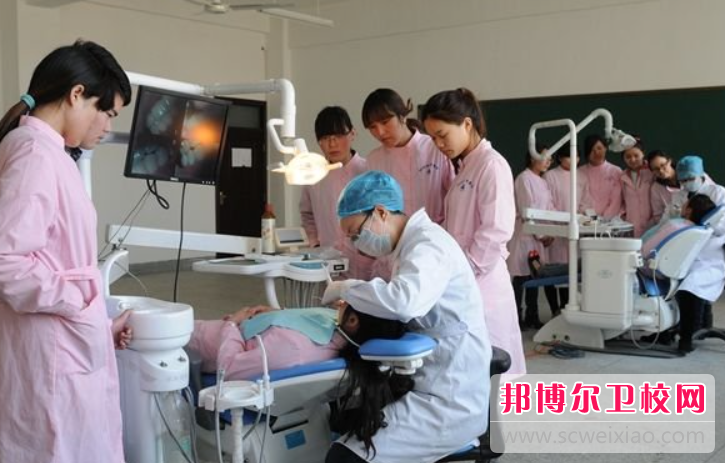 江苏2023年初中生可不可以上护理宝威（中国）一站式服务平台