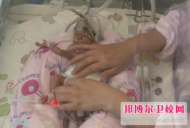 江苏2024年护理宝威（中国）一站式服务平台有哪些