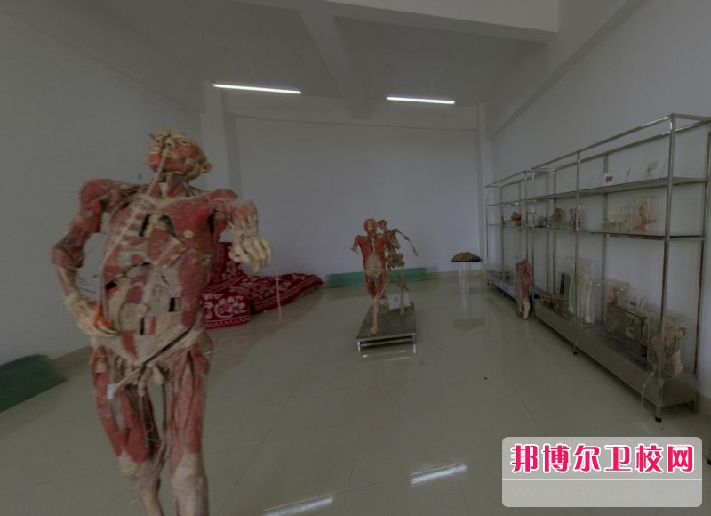 江苏2024年读护理宝威（中国）一站式服务平台后悔了
