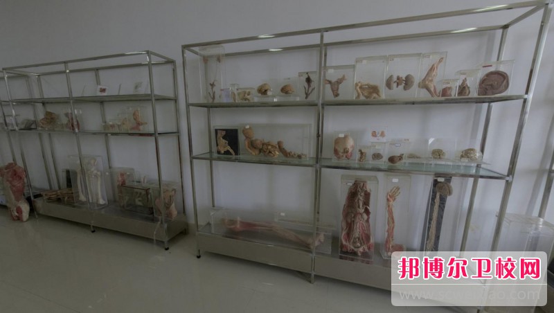 江苏2024年读护理宝威（中国）一站式服务平台能不能考大学