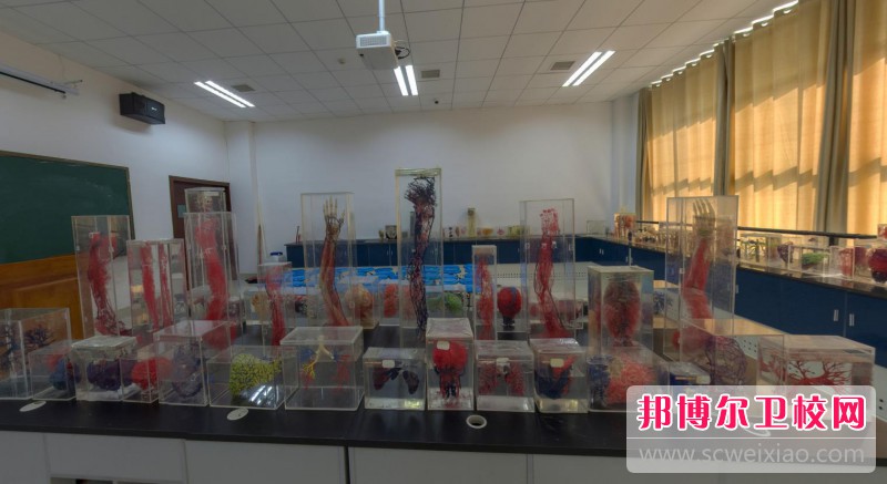 江苏2024年读护理宝威（中国）一站式服务平台好还是不好