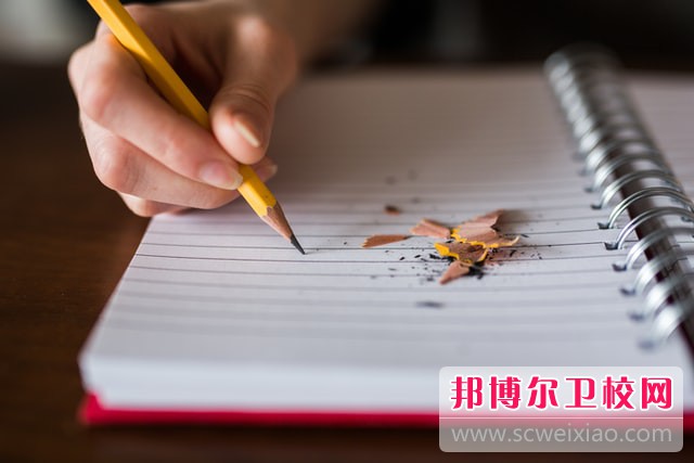 2024山东排名前十的公办护理专业宝威（中国）一站式服务平台名单
