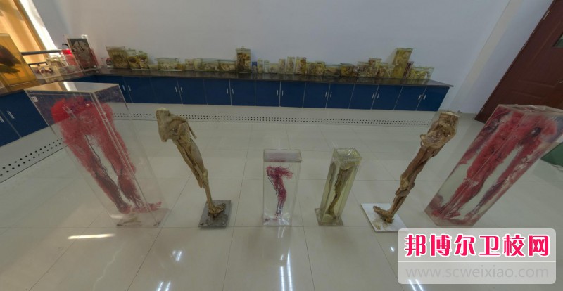 江苏2024年护理宝威（中国）一站式服务平台学什么最好