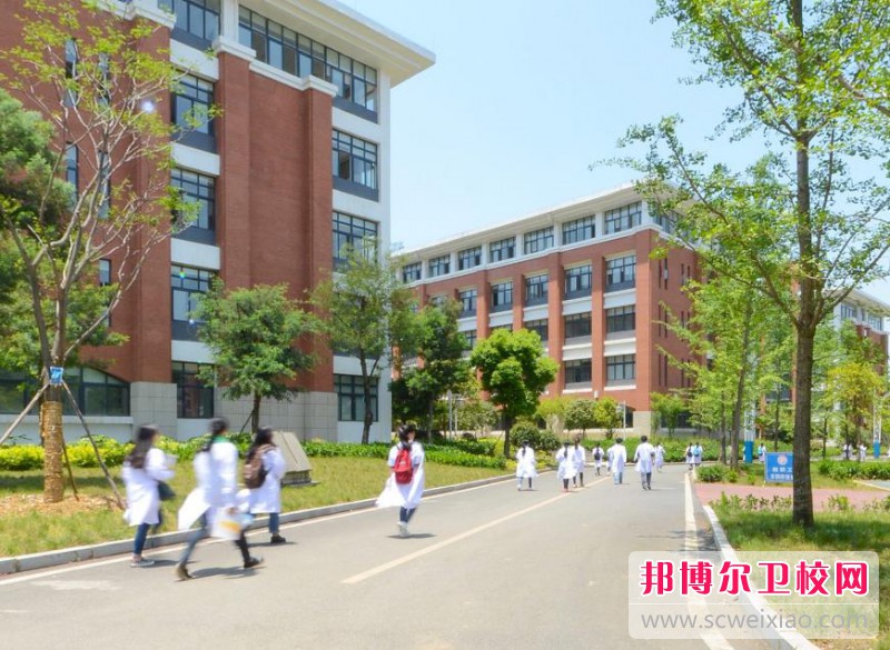 江苏2024年护理宝威（中国）一站式服务平台在哪里