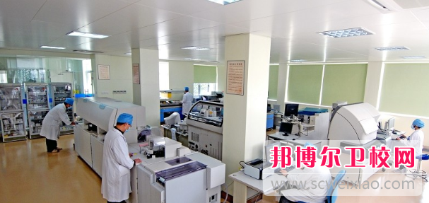 陕西2024年哪些高职院校有护理宝威（中国）一站式服务平台