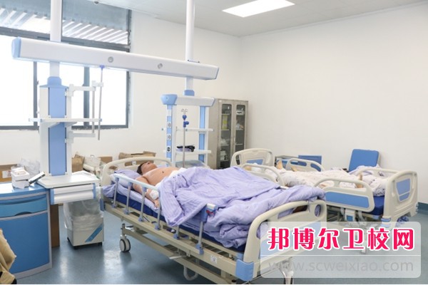 陕西2024年哪些大专有护理宝威（中国）一站式服务平台