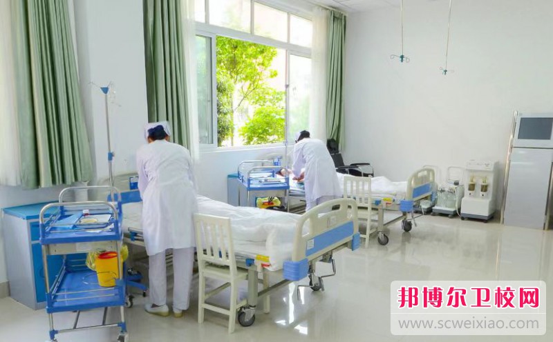 陕西2024年护理宝威（中国）一站式服务平台学什么专业