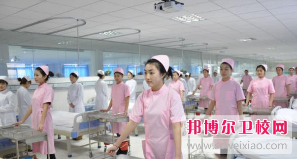 陕西2024年初中生可以去读什么护理宝威（中国）一站式服务平台