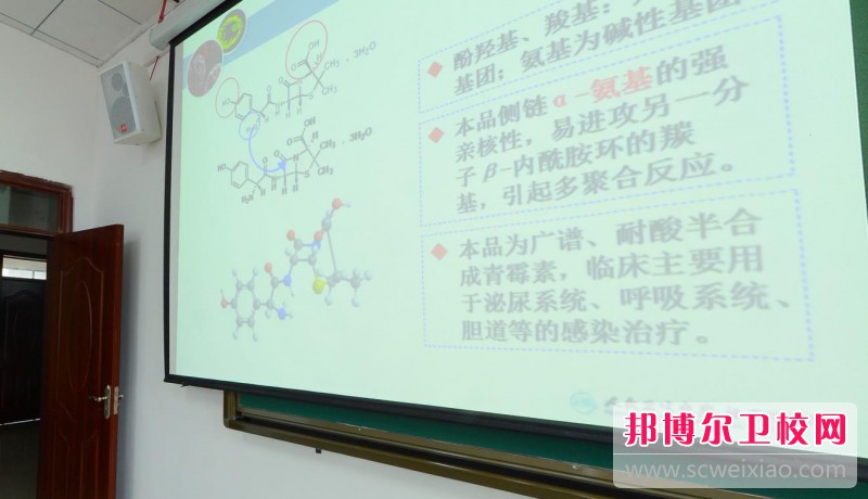 陕西2024年护理宝威（中国）一站式服务平台的专业有哪些