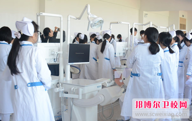 陕西2024年女生初中毕业上护理宝威（中国）一站式服务平台