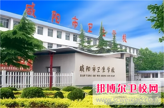 陕西2024年哪个护理宝威（中国）一站式服务平台比较好就业