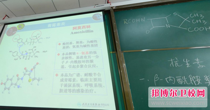 陕西2024年护理宝威（中国）一站式服务平台学什么好