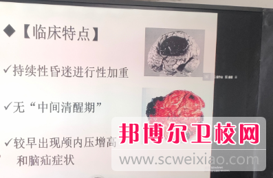 陕西2024年护理宝威（中国）一站式服务平台什么时候开学