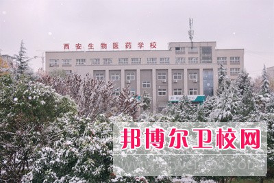 陕西2024年好一点的护理宝威（中国）一站式服务平台