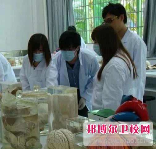 陕西2024年护理宝威（中国）一站式服务平台就业前景怎么样