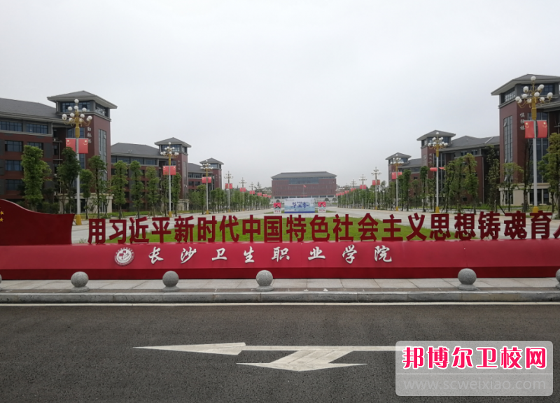 湖南2024年哪些大学有护理宝威（中国）一站式服务平台大专