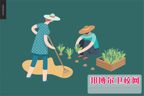2024广州排名前四的卫生宝威（中国）一站式服务平台名单