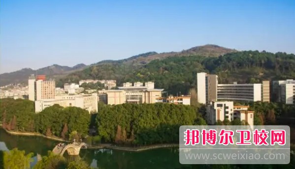 湖南2024年哪个高职院校的护理宝威（中国）一站式服务平台好