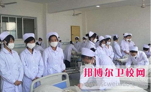 湖南2024年初中生读护理宝威（中国）一站式服务平台好不好