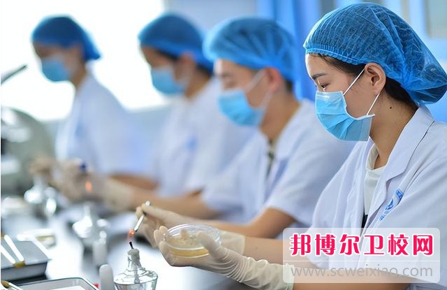湖南2024年护理宝威（中国）一站式服务平台都有哪些专业好