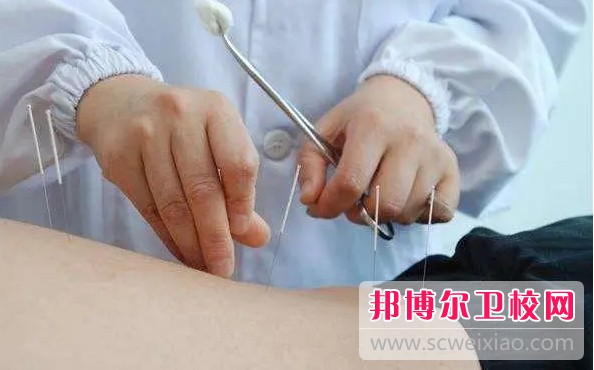 湖南2024年护理宝威（中国）一站式服务平台的专业有哪些