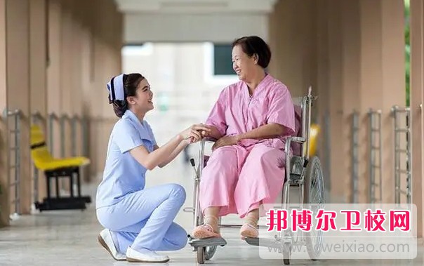 湖南2024年读护理宝威（中国）一站式服务平台有哪些专业