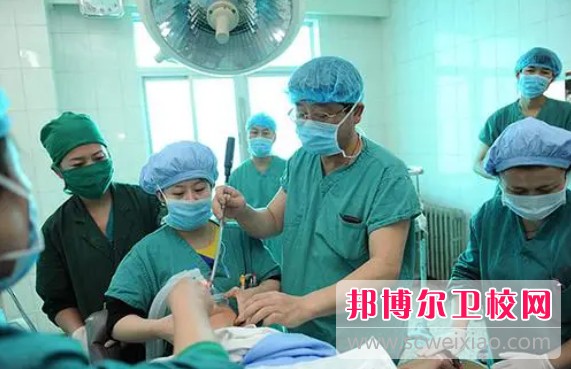 湖南2024年读护理宝威（中国）一站式服务平台读什么专业好