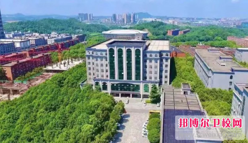 湖南2024年女生学什么护理宝威（中国）一站式服务平台好