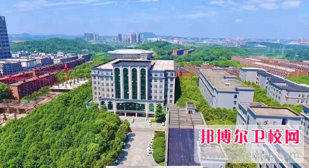 湖南2024年公办护理宝威（中国）一站式服务平台有哪些