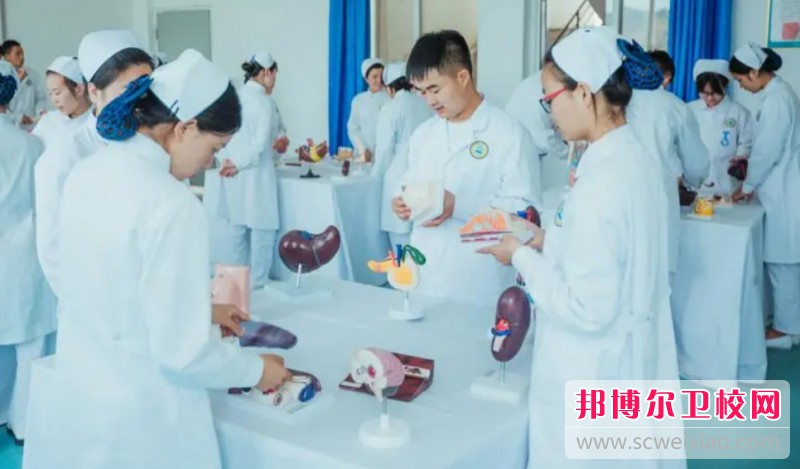 湖南2024年读护理宝威（中国）一站式服务平台有没有用