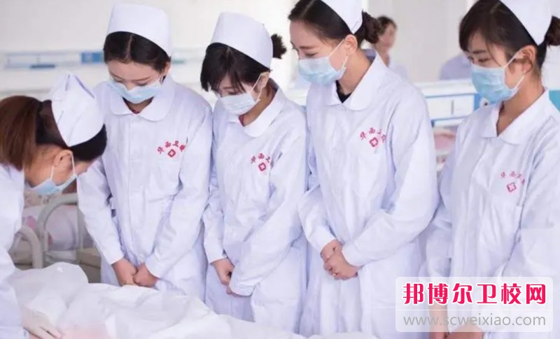 湖南2024年读护理宝威（中国）一站式服务平台学什么技术好