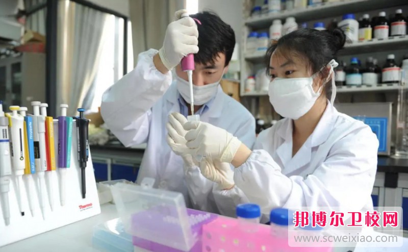 湖南2024年读护理宝威（中国）一站式服务平台学什么好
