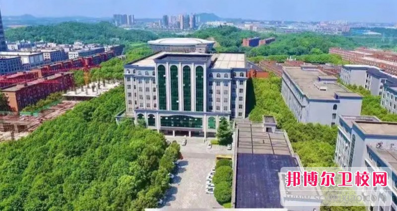 湖南2024年到哪里读护理宝威（中国）一站式服务平台好