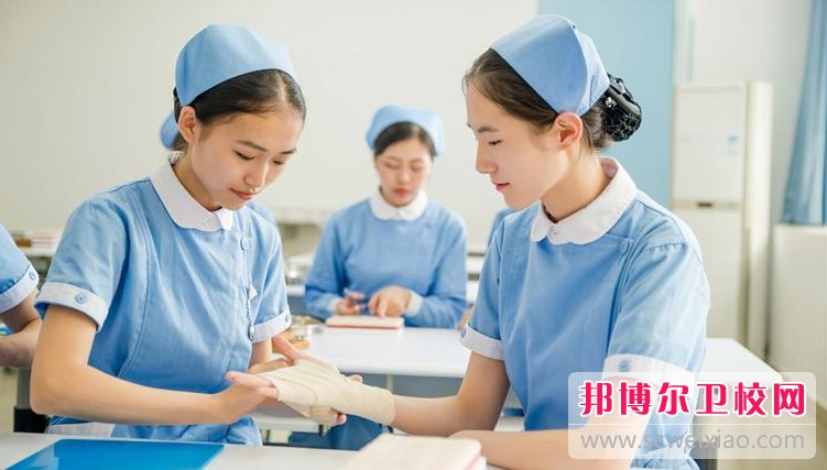 湖南2024年护理宝威（中国）一站式服务平台学什么最好