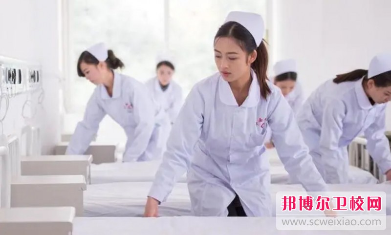 湖南2024年护理宝威（中国）一站式服务平台学什么比较好