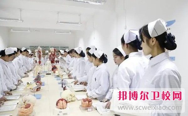 湖南2024年护理宝威（中国）一站式服务平台可以学什么