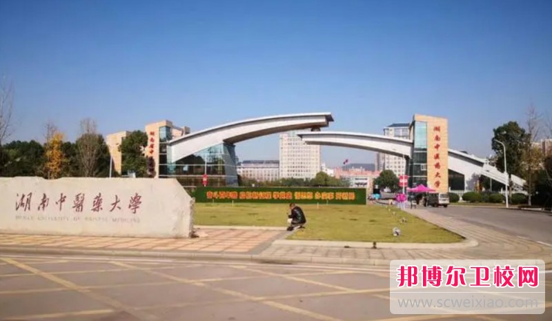湖南2024年什么护理宝威（中国）一站式服务平台就业最好