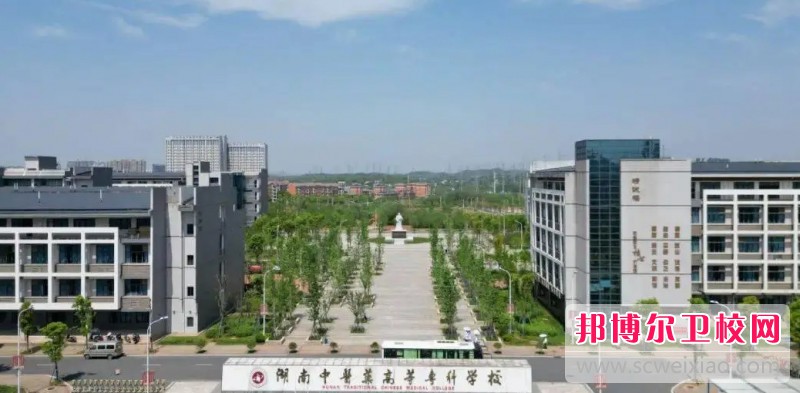湖南2024年什么护理宝威（中国）一站式服务平台比较好就业
