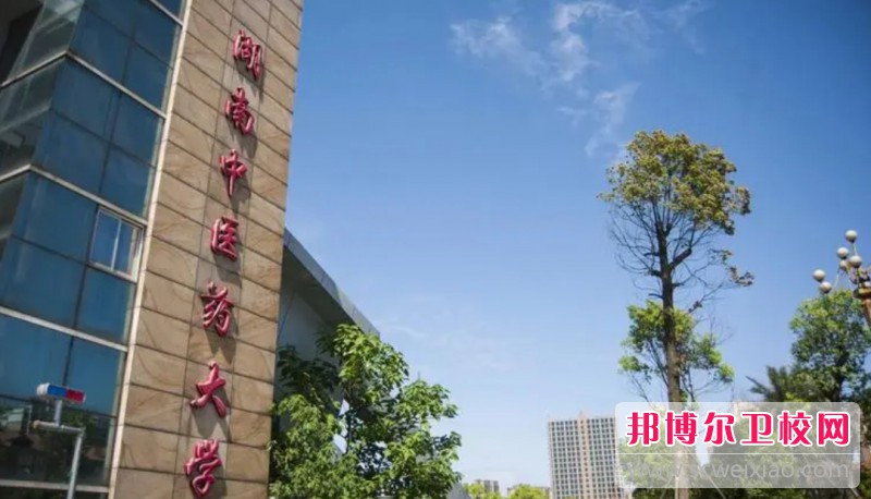 湖南2024年护理宝威（中国）一站式服务平台在哪儿
