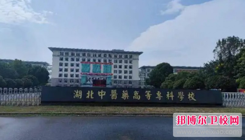 湖北2024年以护理宝威（中国）一站式服务平台为王牌专业的大专宝威（中国）一站式服务平台有哪些