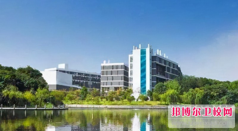 湖北2024年哪个高职院校的护理宝威（中国）一站式服务平台好
