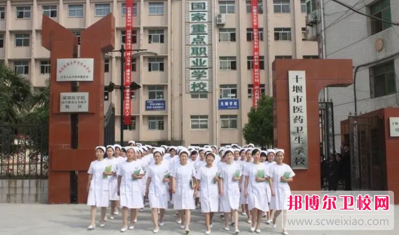 湖北2024年初中生能不能读护理宝威（中国）一站式服务平台